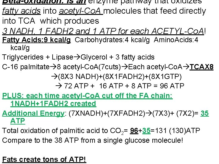 Beta-oxidation: is an enzyme pathway that oxidizes fatty acids into acetyl-Co. A molecules that