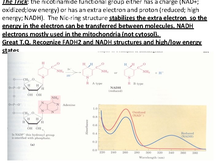 The Trick: the nicotinamide functional group either has a charge (NAD+; oxidized; low energy)