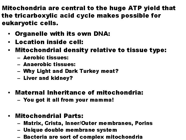 Mitochondria are central to the huge ATP yield that the tricarboxylic acid cycle makes