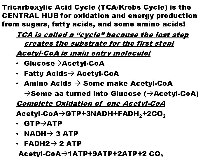 Tricarboxylic Acid Cycle (TCA/Krebs Cycle) is the CENTRAL HUB for oxidation and energy production