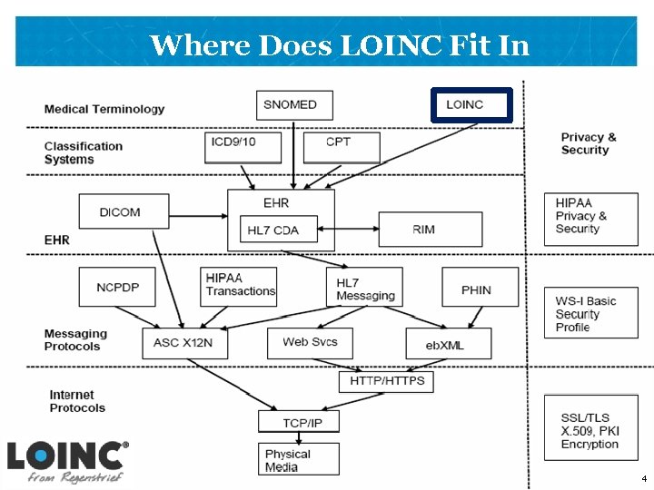 Where Does LOINC Fit In 4 