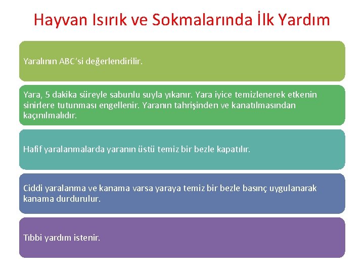 Hayvan Isırık ve Sokmalarında İlk Yardım Yaralının ABC’si değerlendirilir. Yara, 5 dakika süreyle sabunlu