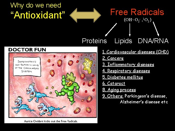 Why do we need Free Radicals “Antioxidant” (OH-, O 2 - , 1 O