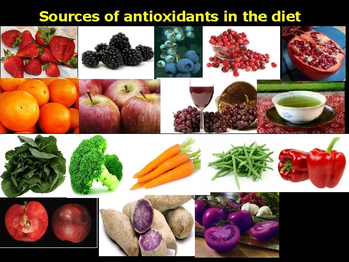Sources of antioxidants in the diet 