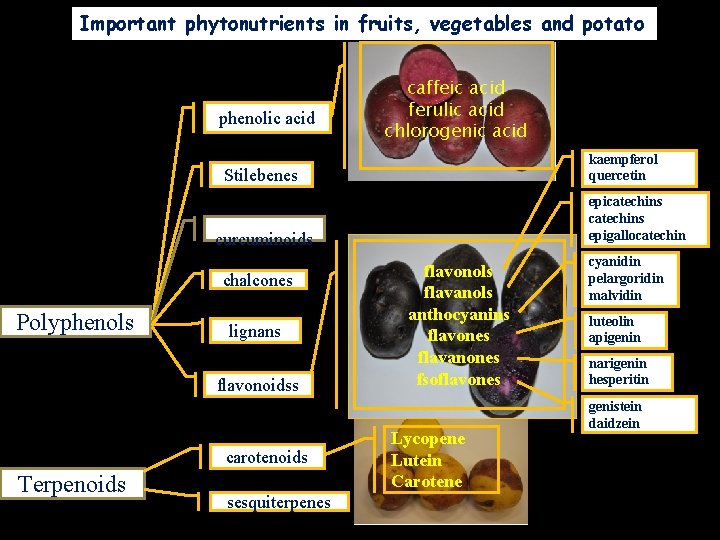 Important phytonutrients in fruits, vegetables and potato phenolic acid caffeic acid ferulic acid chlorogenic