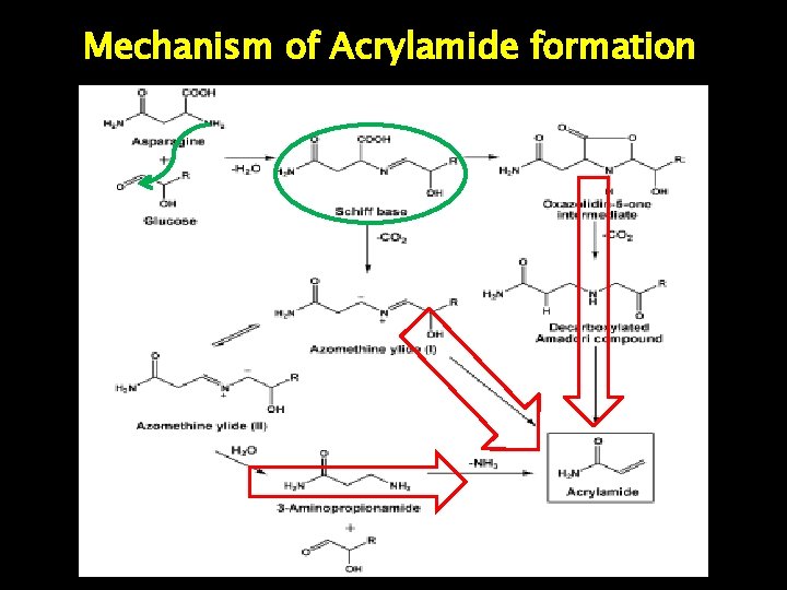 Mechanism of Acrylamide formation 