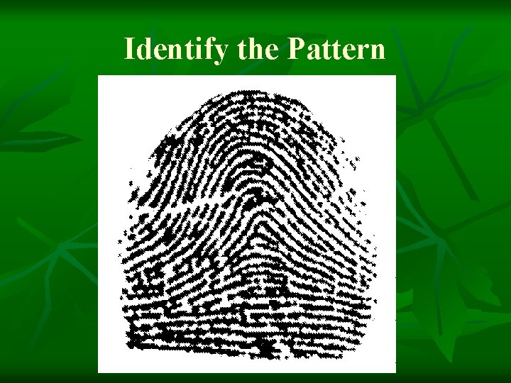 Identify the Pattern 