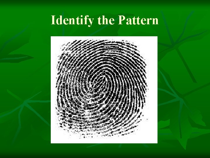 Identify the Pattern 