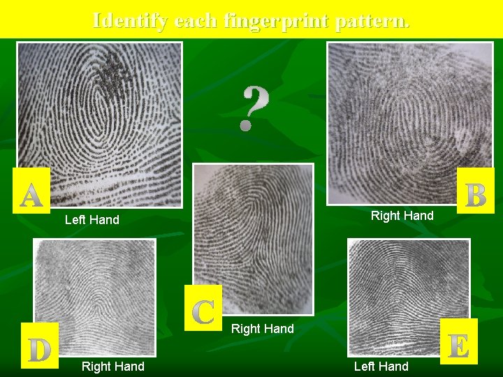 Identify each fingerprint pattern. Right Hand Left Hand 