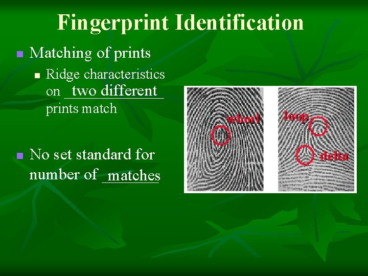 Fingerprint Identification n Matching of prints n n Ridge characteristics two different on _______