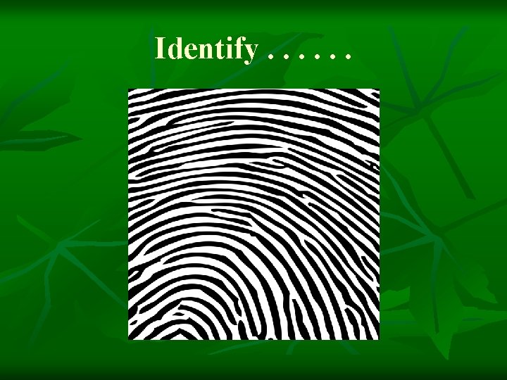 Identify. . . 