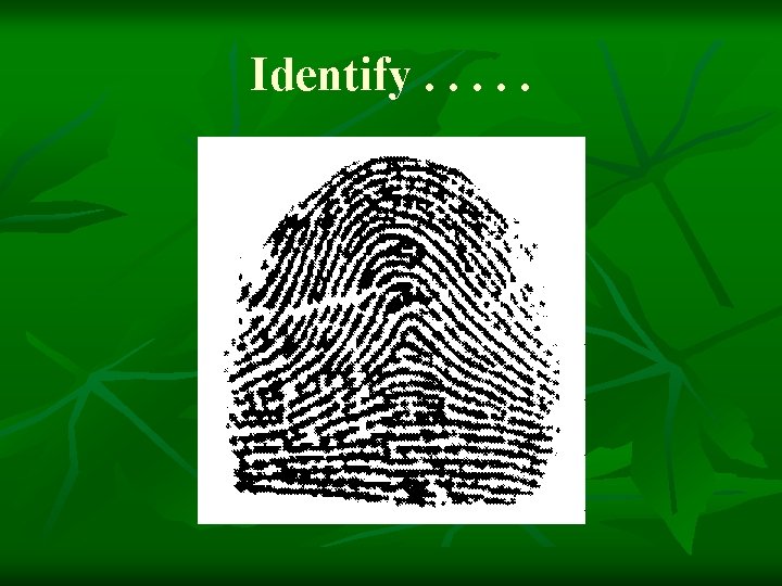 Identify. . . 