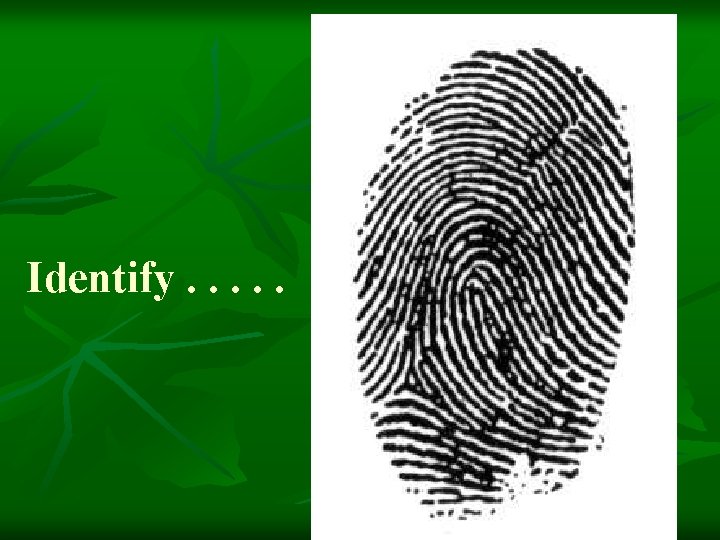 Identify. . . 