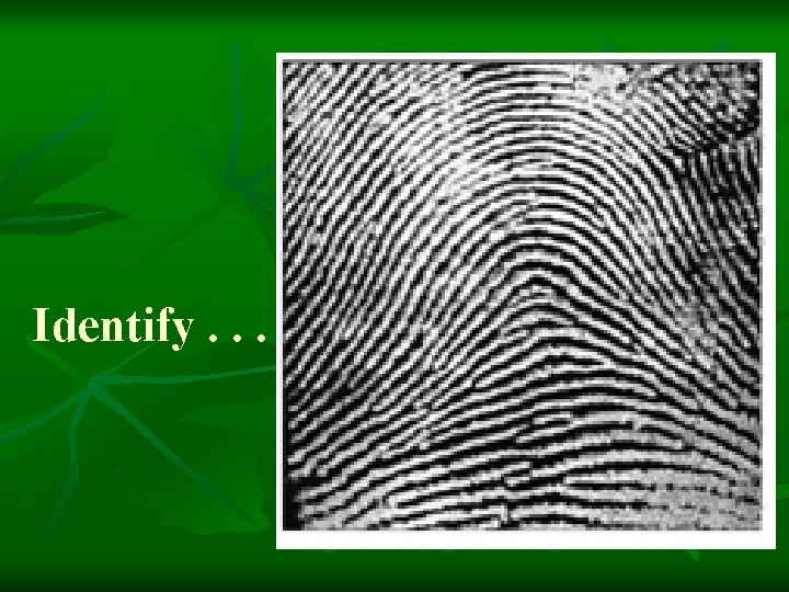 Identify. . . 