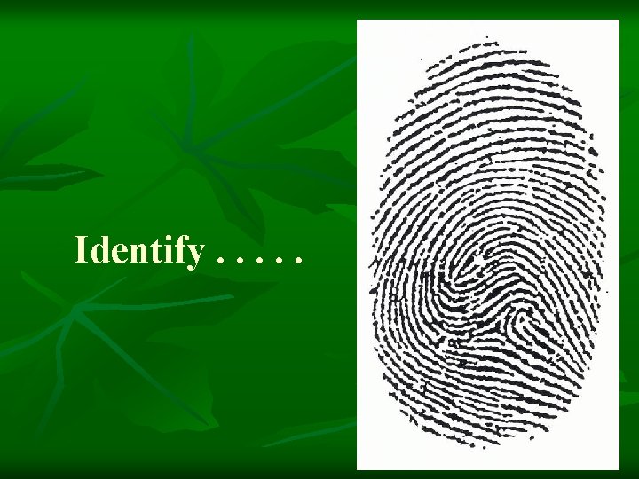 Identify. . . 