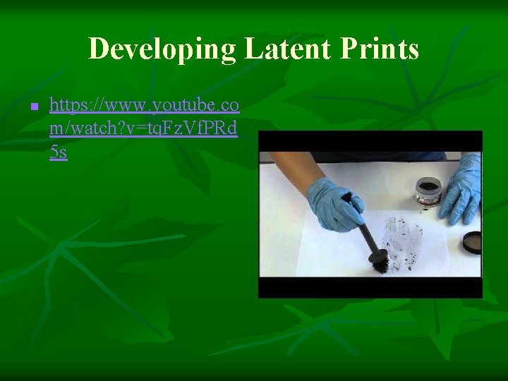 Developing Latent Prints n https: //www. youtube. co m/watch? v=tq. Fz. Vf. PRd 5