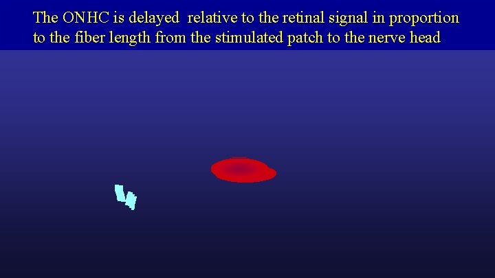 The ONHC is delayed relative to the retinal signal in proportion to the fiber