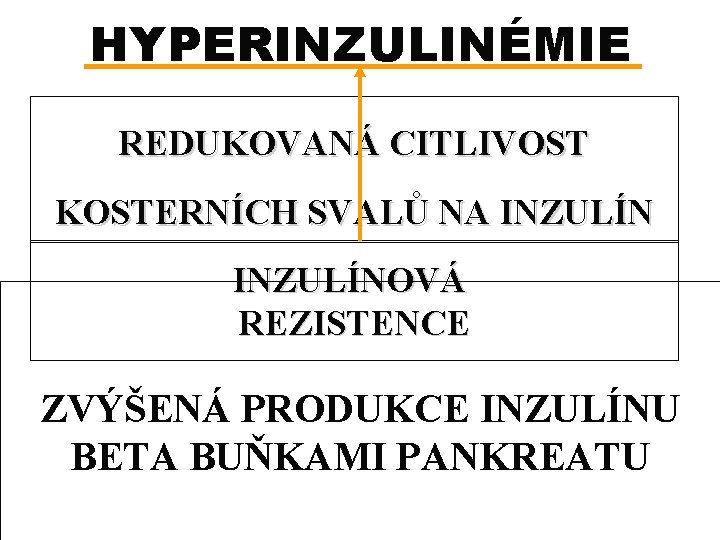 HYPERINZULINÉMIE REDUKOVANÁ CITLIVOST KOSTERNÍCH SVALŮ NA INZULÍNOVÁ REZISTENCE ZVÝŠENÁ PRODUKCE INZULÍNU BETA BUŇKAMI PANKREATU