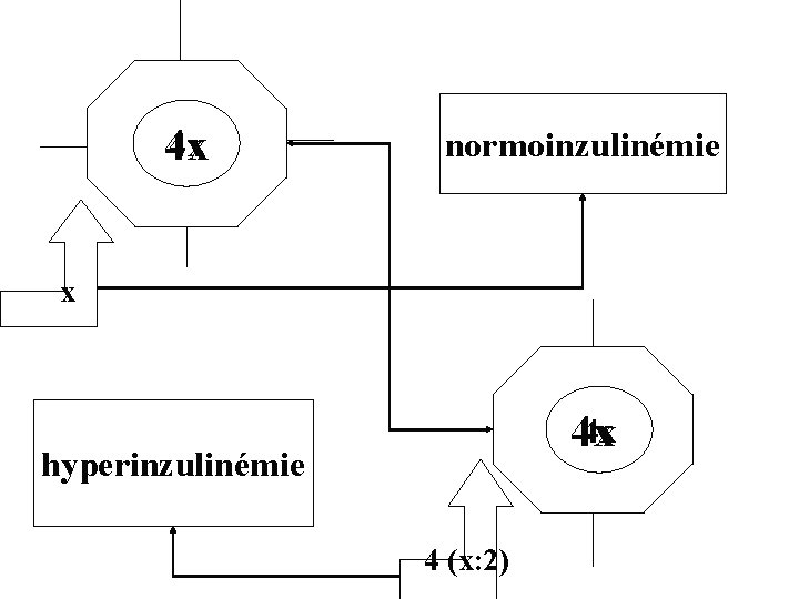 4 x 4 x normoinzulinémie x 4 x 4 x hyperinzulinémie 4 (x: 2)