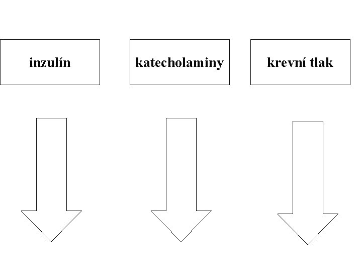 inzulín katecholaminy krevní tlak 