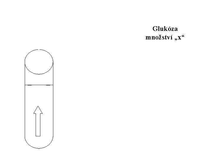 Glukóza množství „x“ 