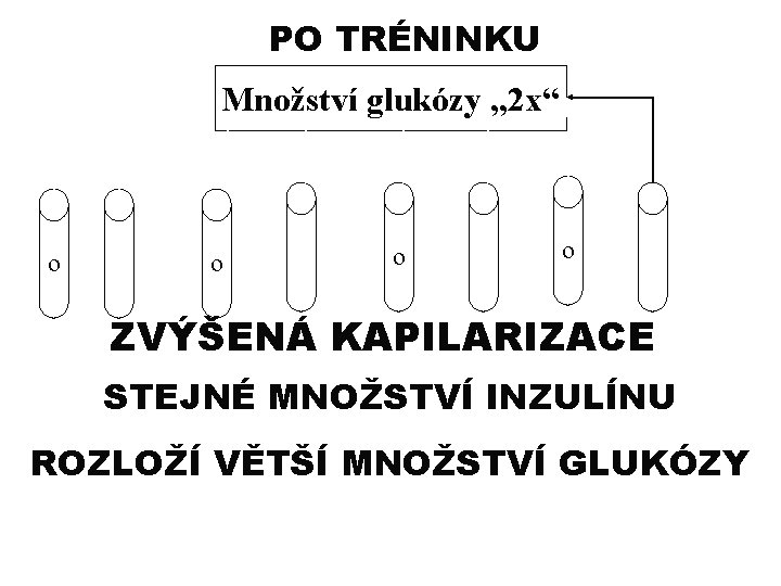 PO TRÉNINKU Množství glukózy „ 2 x“ o o ZVÝŠENÁ KAPILARIZACE STEJNÉ MNOŽSTVÍ INZULÍNU