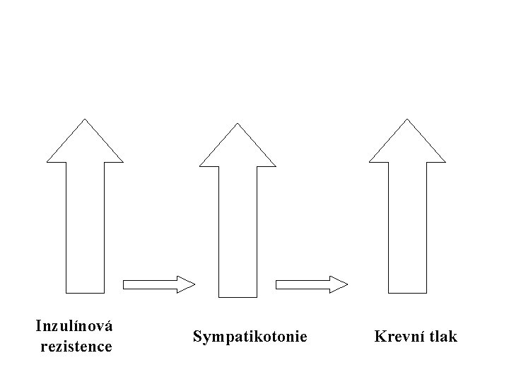 Inzulínová rezistence Sympatikotonie Krevní tlak 