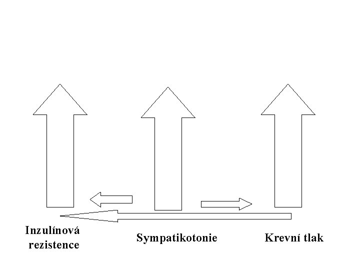 Inzulínová rezistence Sympatikotonie Krevní tlak 