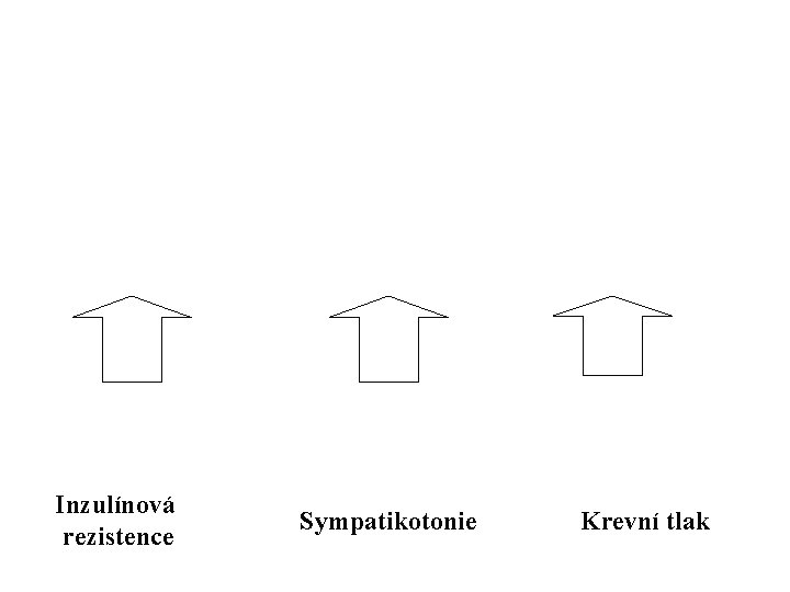 Inzulínová rezistence Sympatikotonie Krevní tlak 