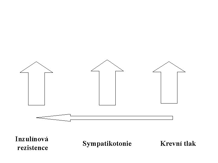 Inzulínová rezistence Sympatikotonie Krevní tlak 