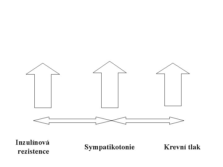 Inzulínová rezistence Sympatikotonie Krevní tlak 