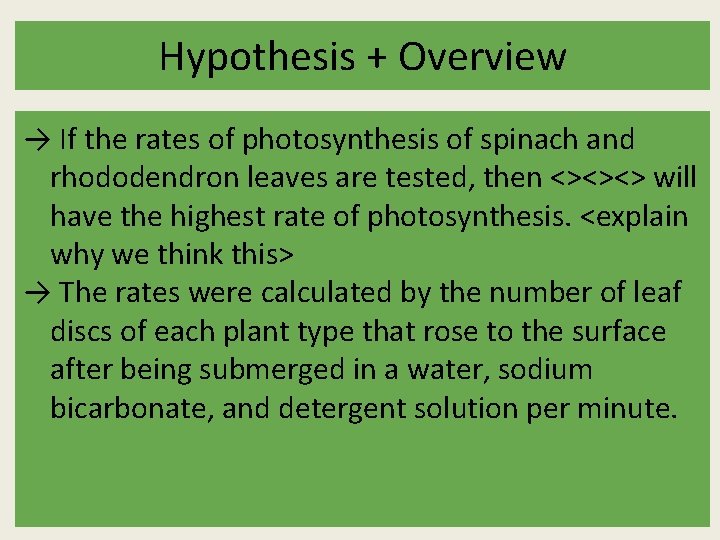Photosynthesis Lab Leaf Disc Assay A Block Spinach