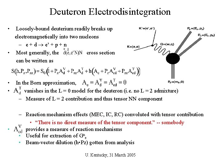 Deuteron Electrodisintegration • Loosely-bound deuterium readily breaks up electromagnetically into two nucleons – e
