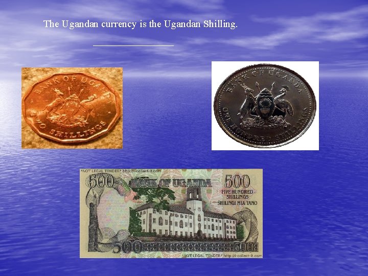 The Ugandan currency is the Ugandan Shilling. 