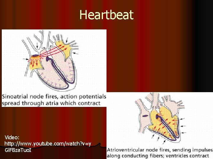 Heartbeat Video: http: //www. youtube. com/watch? v=y Gl. FBza. Tuo. I 