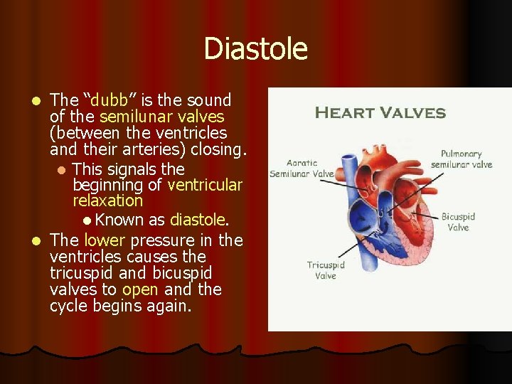 Diastole The “dubb” is the sound of the semilunar valves (between the ventricles and