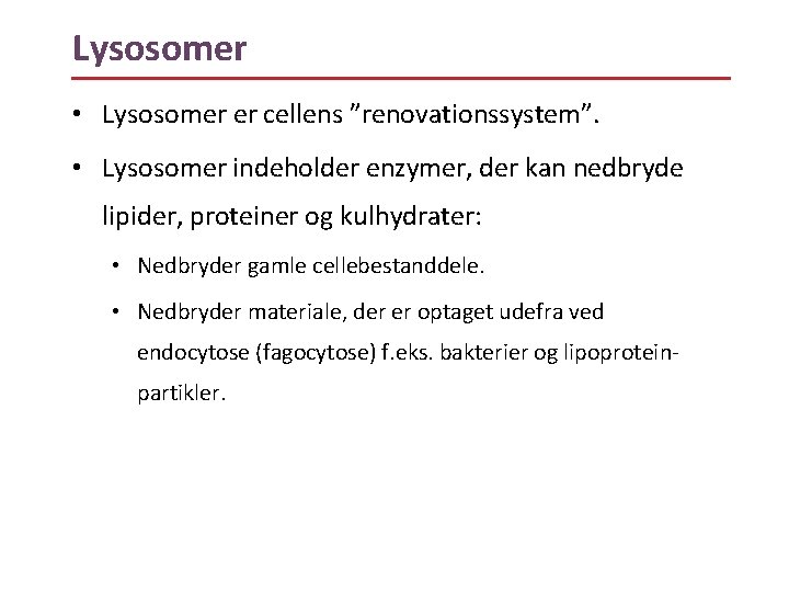 Lysosomer • Lysosomer er cellens ”renovationssystem”. • Lysosomer indeholder enzymer, der kan nedbryde lipider,