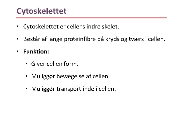 Cytoskelettet • Cytoskelettet er cellens indre skelet. • Består af lange proteinfibre på kryds