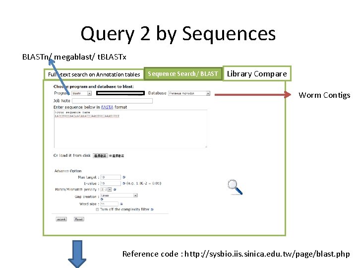 Query 2 by Sequences BLASTn/ megablast/ t. BLASTx Full –text search on Annotation tables