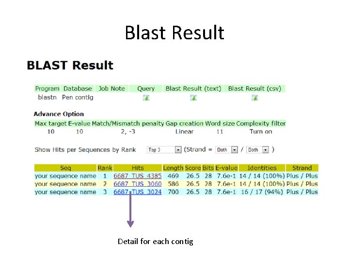 Blast Result Detail for each contig 