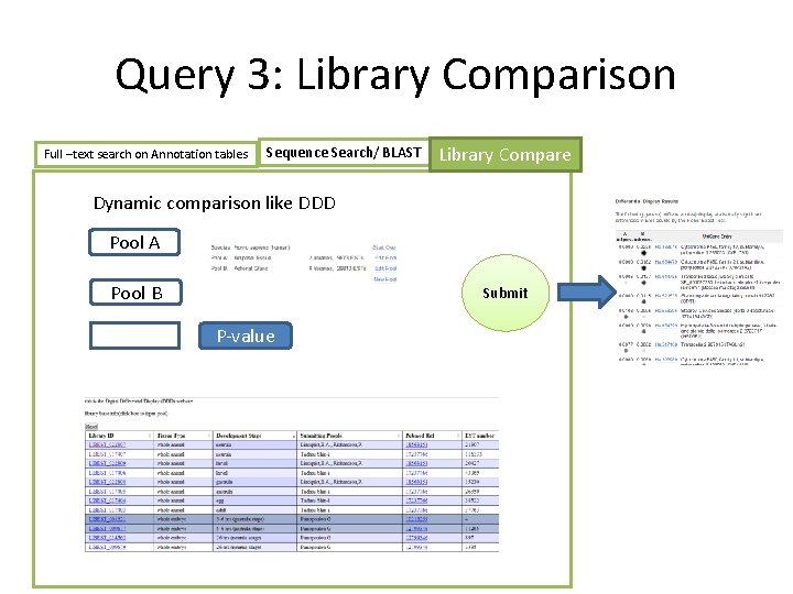 Query 3: Library Comparison Full –text search on Annotation tables Sequence Search/ BLAST Library