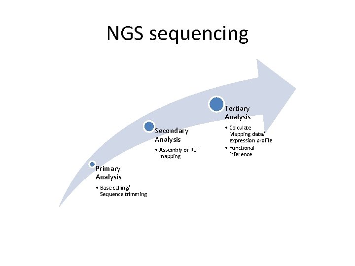 NGS sequencing Tertiary Analysis Secondary Analysis • Assembly or Ref mapping Primary Analysis •