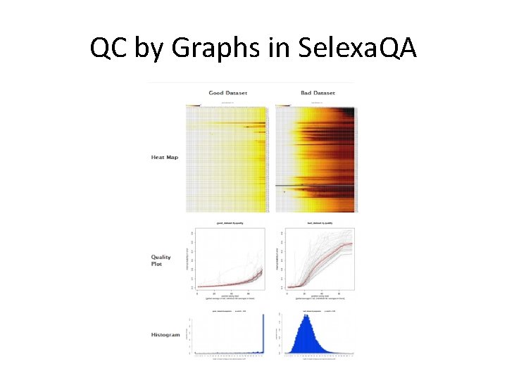 QC by Graphs in Selexa. QA 