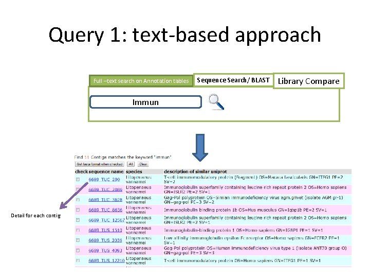 Query 1: text-based approach Full –text search on Annotation tables Immun Detail for each