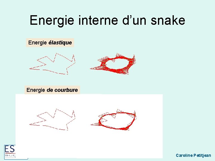 Energie interne d’un snake Energie élastique Energie de courbure Techniques biomédicales Caroline Petitjean 