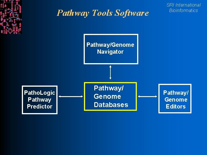 Pathway Tools Software SRI International Bioinformatics Pathway/Genome Navigator Patho. Logic Pathway Predictor Pathway/ Genome