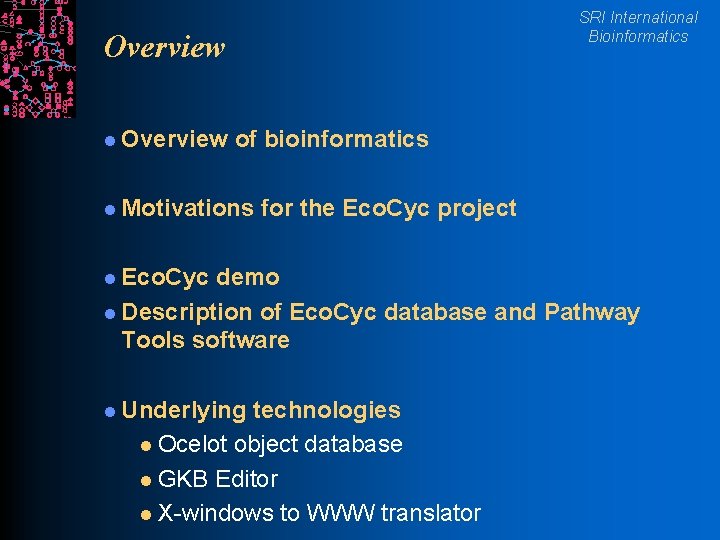 SRI International Bioinformatics Overview l Overview of bioinformatics l Motivations for the Eco. Cyc