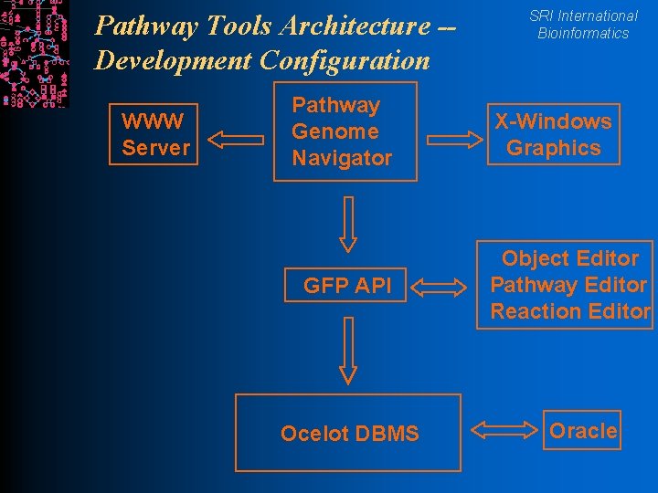 Pathway Tools Architecture -Development Configuration WWW Server Pathway Genome Navigator GFP API Ocelot DBMS