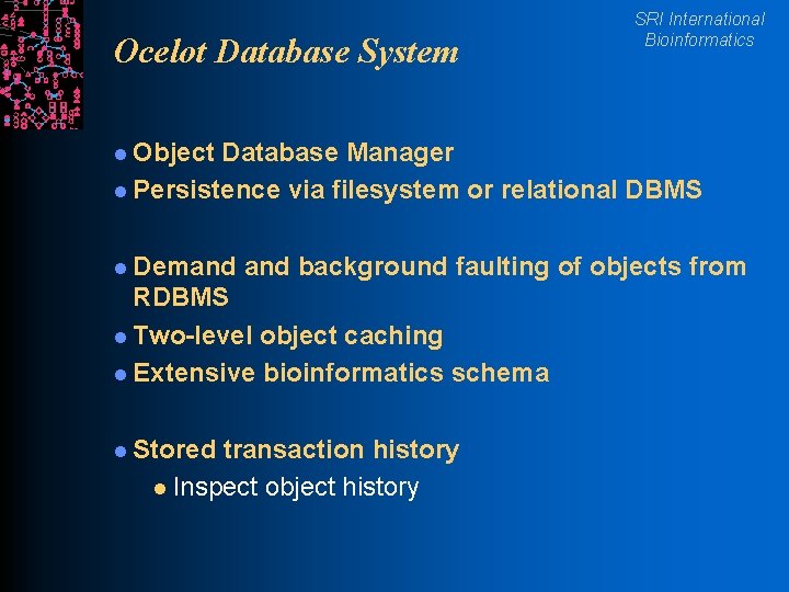 Ocelot Database System SRI International Bioinformatics l Object Database Manager l Persistence via filesystem