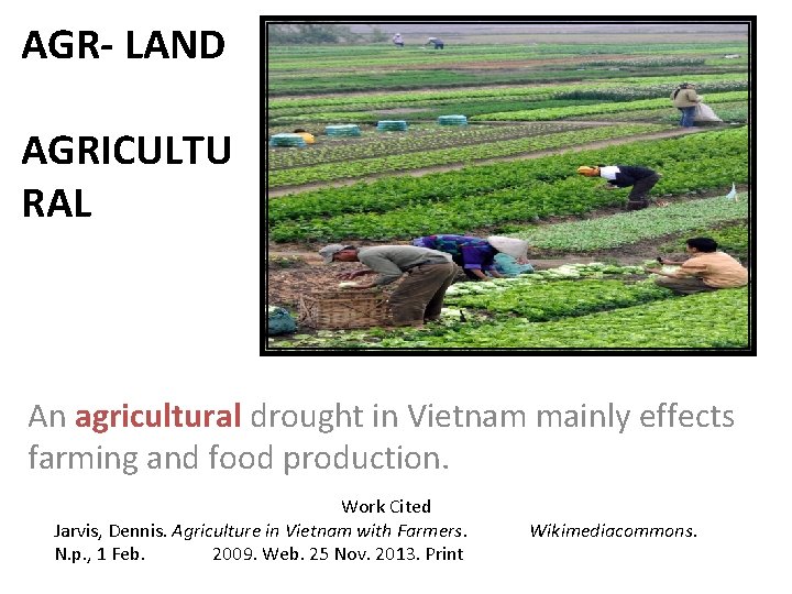 AGR- LAND AGRICULTU RAL An agricultural drought in Vietnam mainly effects farming and food
